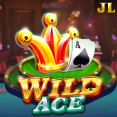 Wild Ace phsky app login